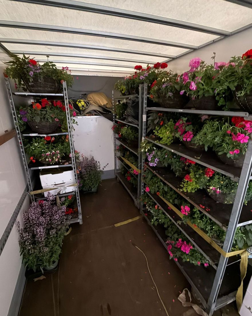 The inside of the Tee & Co van loaded floor to roof with trolleys of bedding plants and hanging baskets